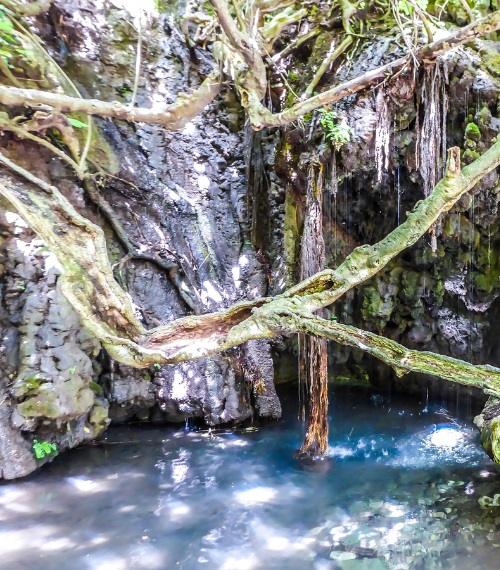 BATHS OF APHRODITE TOUR 500X570 (7)