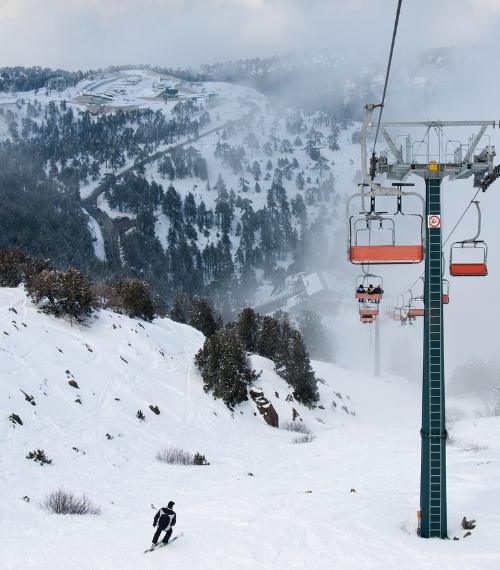 TROODOS (2) 500X570
