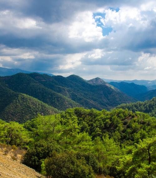 TROODOS (3) 500X570