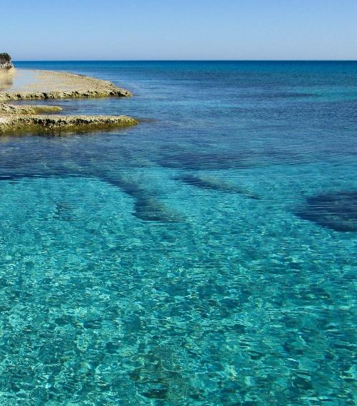 blue lagoon tour TOUR 500X570 (6)
