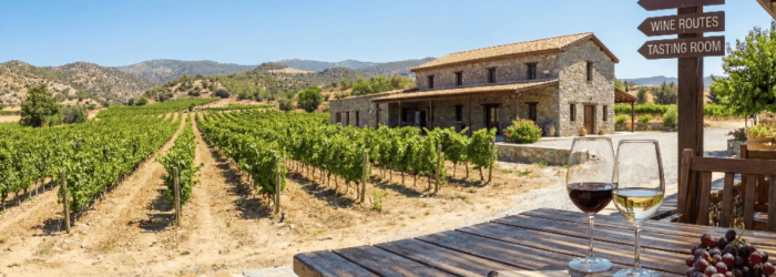 cyprus winnery
